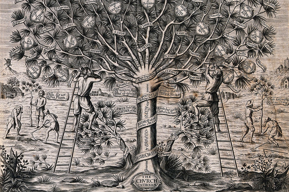 Die Identität einer religiösen Tradition wird aus eigener Sicht häufig mit dem Bild oder der Metapher eines Baumes veranschaulicht: Alles ist aus einem Stamm hervorgegangen. Neue Glaubensformen sind, wie die neu gepflanzten Bäume (am linken und rechten Bildrand), nicht autorisiert. Darstellung von William Cave (1637-1713). Bild: Wellcome Library no. 36255i / Wellcome Collection