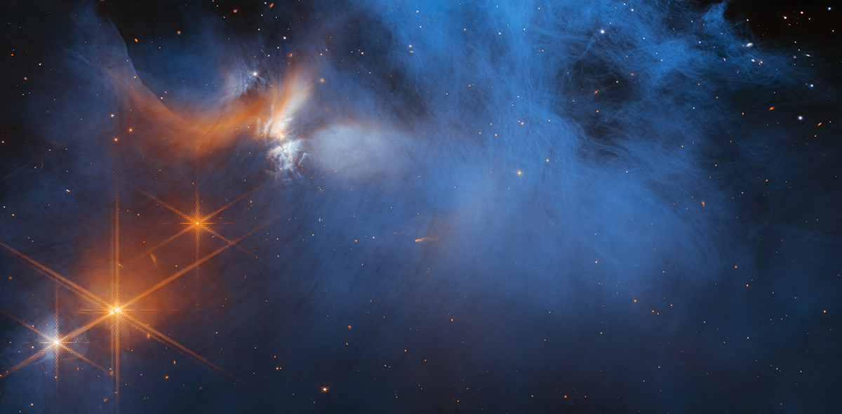 Bild des James Webb-Weltraumteleskops der NASA/ESA/CSA von der dunklen Molekülwolke Chameleon I, die Maria Drozdovskaya und ihr Team untersucht haben. © NASA, ESA, CSA, und M. Zamani (ESA/Webb)