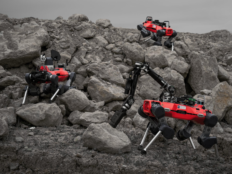 Roboterteam soll den Mond erkunden