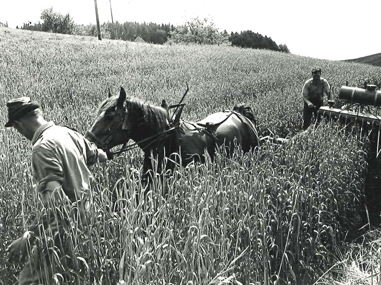 Arable land for LSD