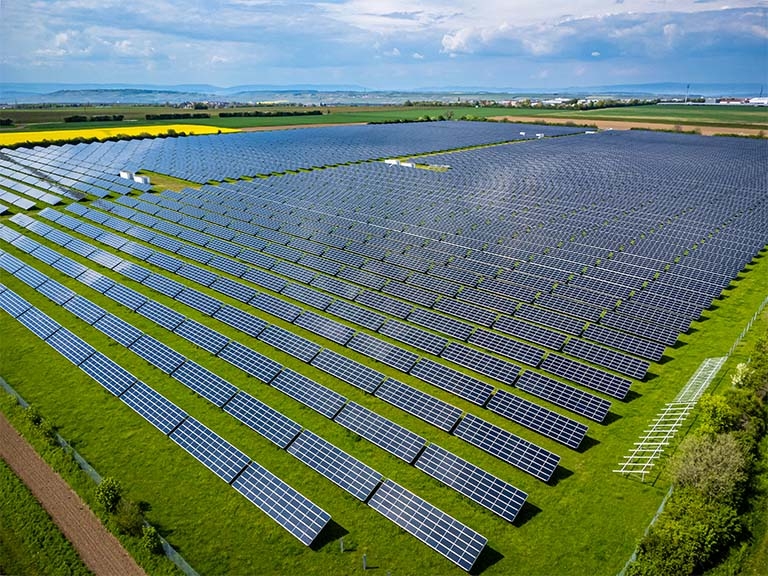 Hoffnungsträger im Klimaschutz