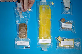 What do astronauts eat in space?