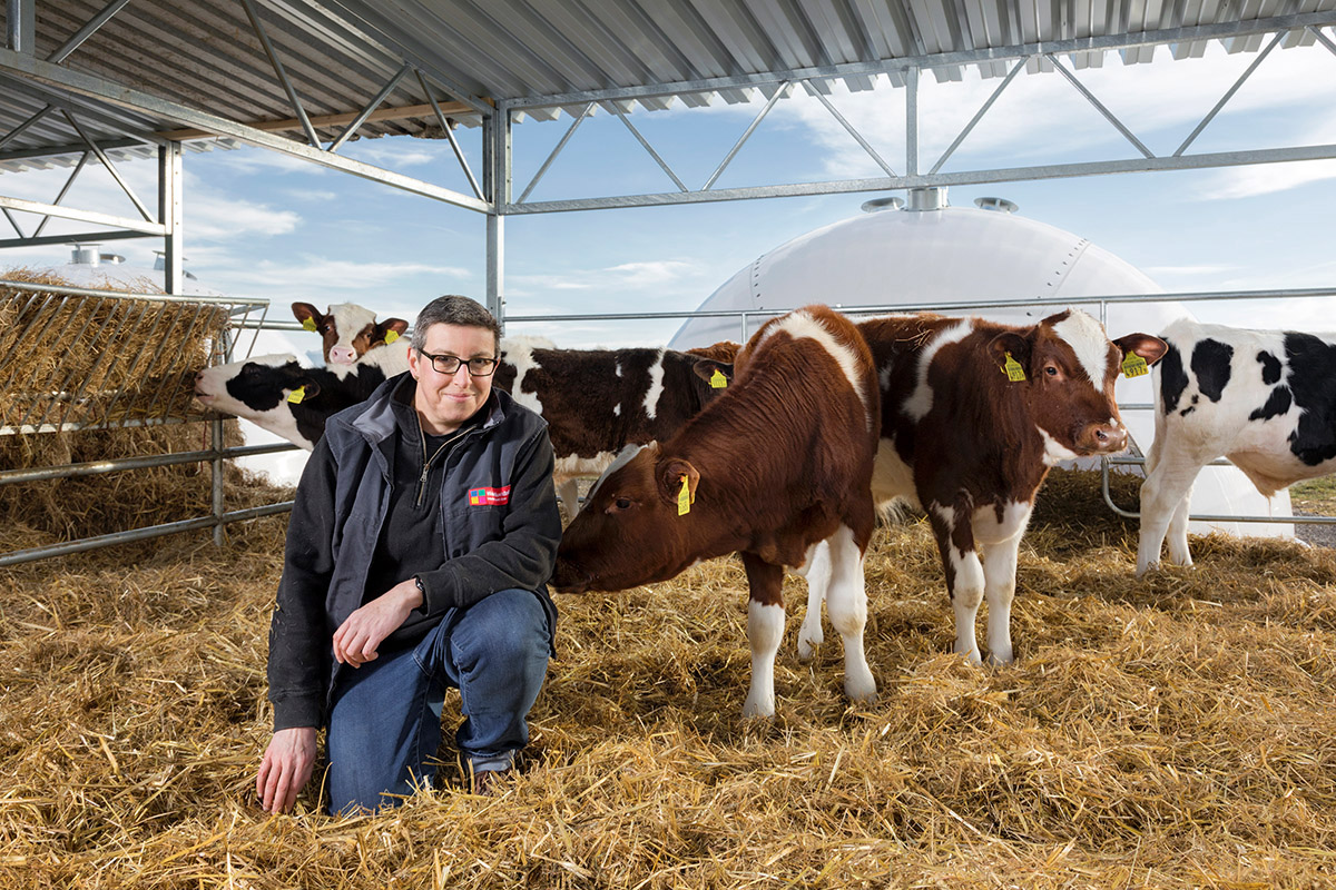 Das Projekt Freiluftkalb wurde unter der Leitung von Prof. Dr. med. vet. Mireille Meylan von der Vetsuisse-Fakultät entwickelt. © NFP72, Nadine Kägi