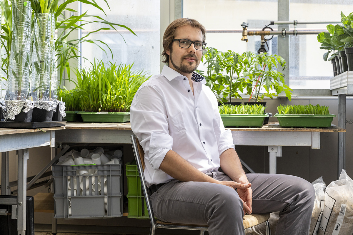 Matthias Erb ist ausserordentlicher Professor für Biotische Interaktionen der Universität Bern und Gründer von Boum, ein 2021 gegründetes Bio / Tech Spin-Off der Universität Bern. Bild: Severin Nowacki