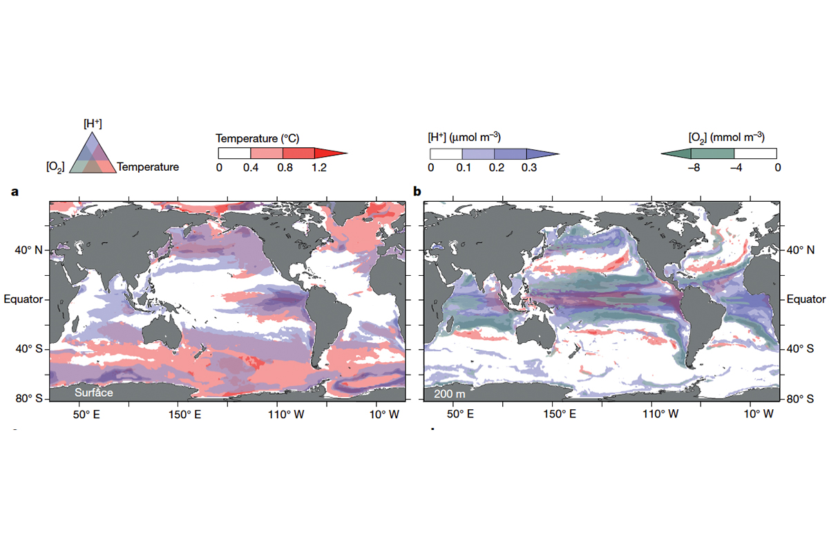 An der Meeresoberfläche (linkes Bild), so zeigen die Simulationen, treten die stärksten Hitzewellen in den hohen Breiten und im Ostpazifik nahe dem Äquator auf. Die marinen Hitzewellen in den Tropen sind stark durch das El-Niño-Phänomen getrieben, das in unregelmässigen Abständen zu ausserordentlich warmen Bedingungen im Ostpazifik führt. Die Ereignisse mit extrem hohem Säurewert verteilen sich ähnlich, sind jedoch im Nordpazifik viel ausgeprägter als im Nordatlantik. Das hat damit zu tun, dass das Wasser im Pazifik generell saurer ist, was den Säurewert empfindlicher auf Veränderungen macht. In 200 Metern Meerestiefe (rechts) konzentrieren sich die Extremereignisse vorwiegend auf die Tropen. Der Sauerstoffmangel im Tiefenwasser wird durch die erhöhten Wassertemperaturen an der Meeresoberfläche verstärkt, weil sich die Wasserschichten dadurch weniger gut durchmischen. Zudem zeigte sich auch auf dieser Tiefe eine Tendenz für starke Extreme des Säurewertes im Nordpazifik. Grafik: © Nature