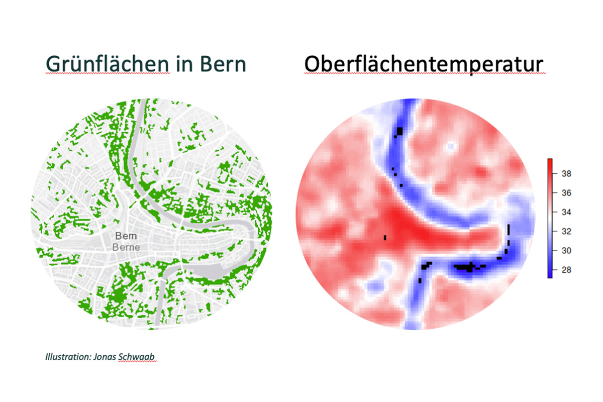 Die Aare und Grünflächen mit Bäumen senken in Bern die Oberflächentemperatur, wie die Illustration zeigt. © Jonas Schwaab.
