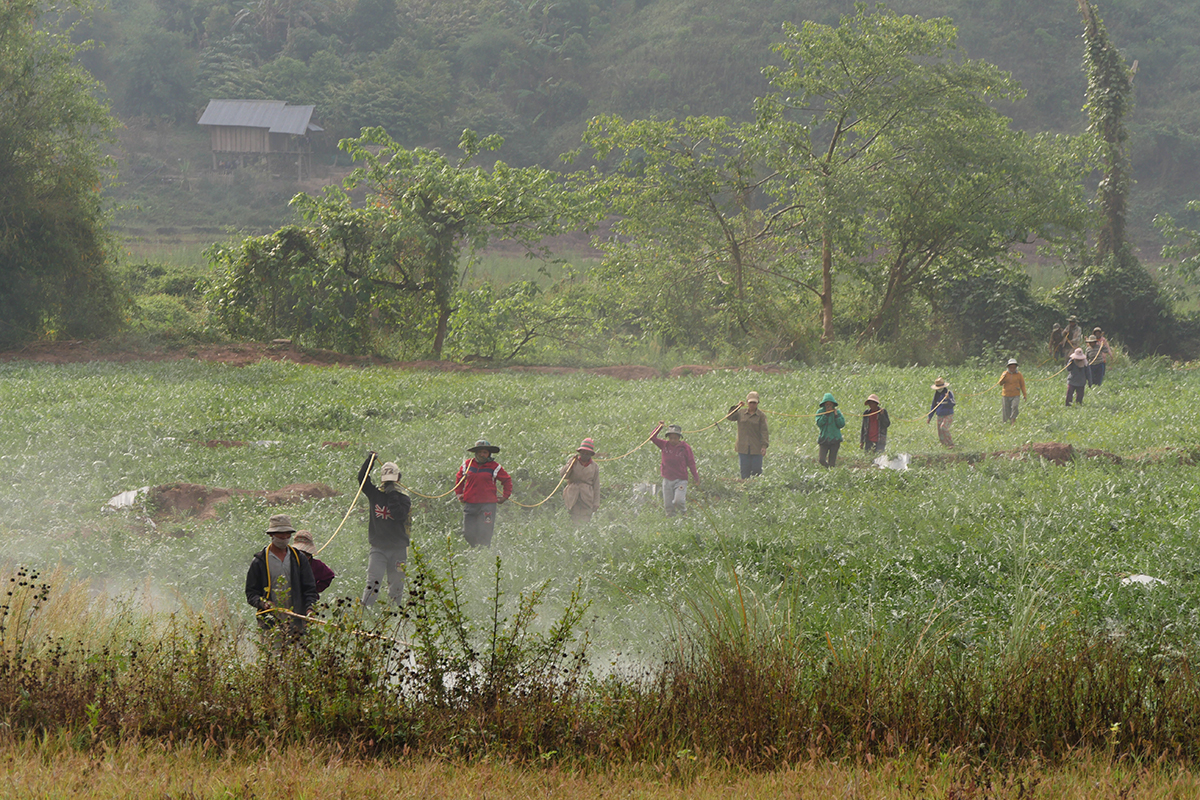 Landarbeiter auf einer Plantage in Laos. Bild: Peter Messerli