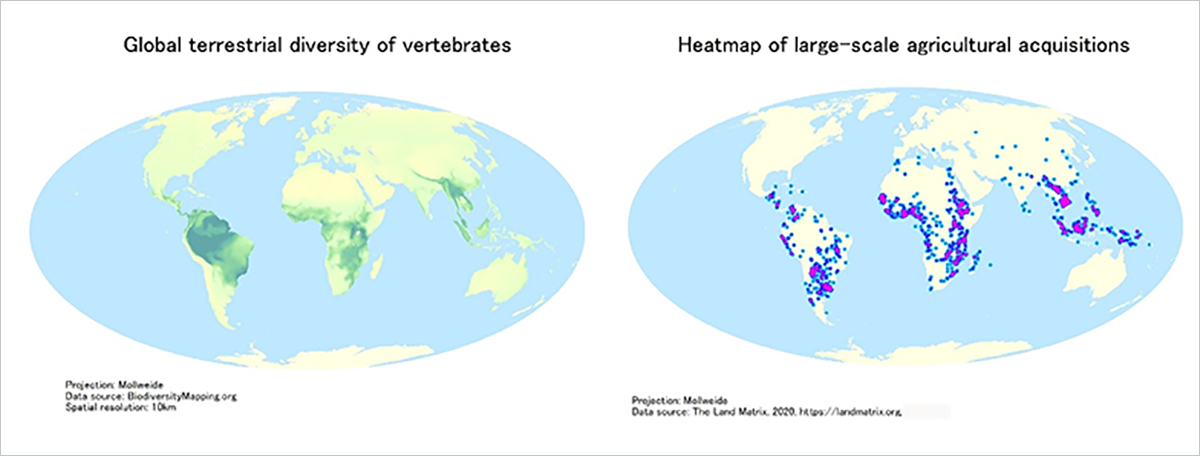Global terrestrial vertebrate biodiversity (left) versus hotspots of large-scale agricultural land deals (right). Source: Giger M, Eckert S, Lay J. (2021). “Large-scale land acquisitions, agricultural trade, and zoonotic diseases: Overlooked links”, One Earth.