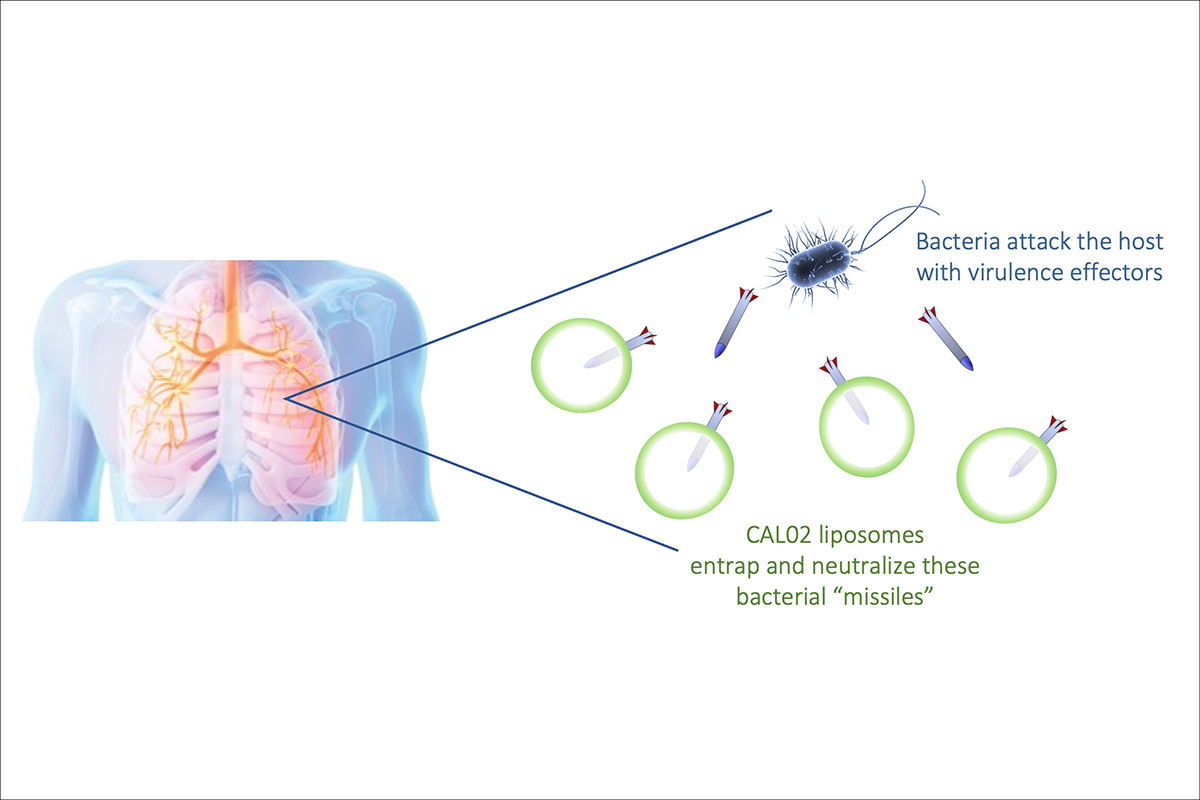 CAL02 wurde von der Fachzeitschrift The Lancet Infectious Diseases zum medizinischen Durchbruch erklärt: Die neuartige Strategie von CAL02 besteht darin, die bakterielle Virulenz zu neutralisieren, so dass Bakterien wie Soldaten ohne Waffen dastehen. CAL02 wurde entwickelt, um eine medizinische Lücke zu schliessen, und kann jährlich Millionen von Patientinnen und Patienten verabreicht werden, allein oder in Kombinationstherapie, ohne die Resistenzbelastung zu erhöhen. © Combioxin