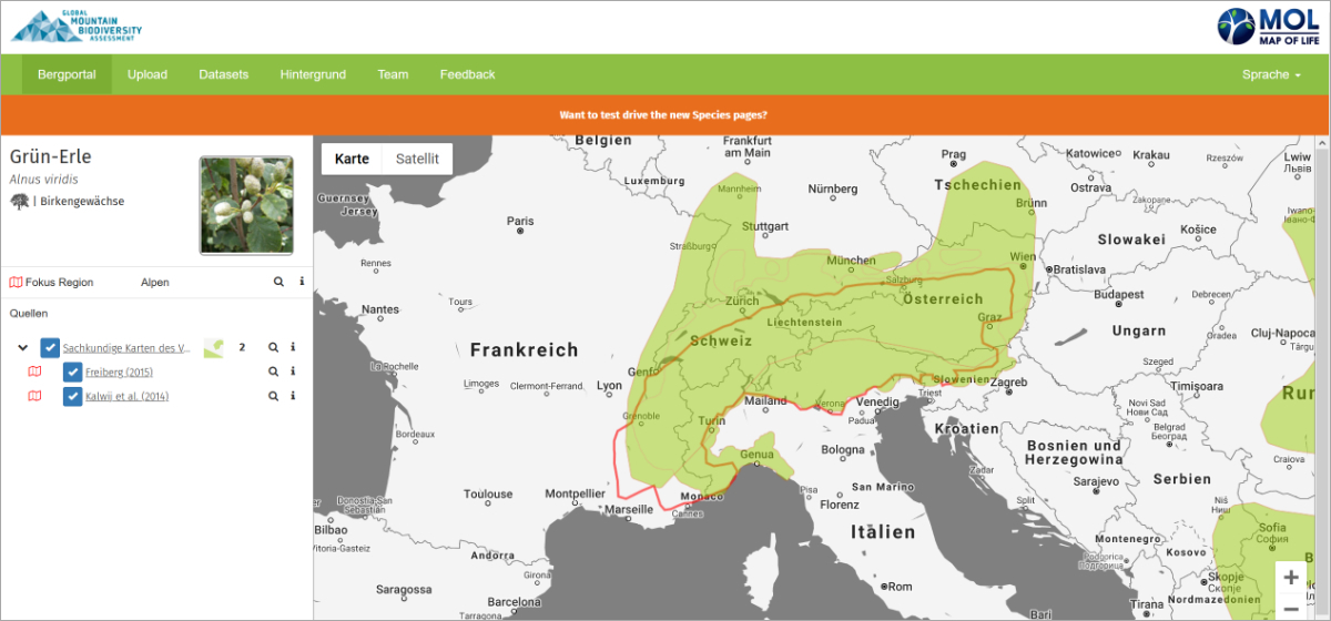Übersicht zur Verbreitung der Grün-Erle im Alpenraum aus dem «Mountain Portal», www.mountainbiodiversity.com.
