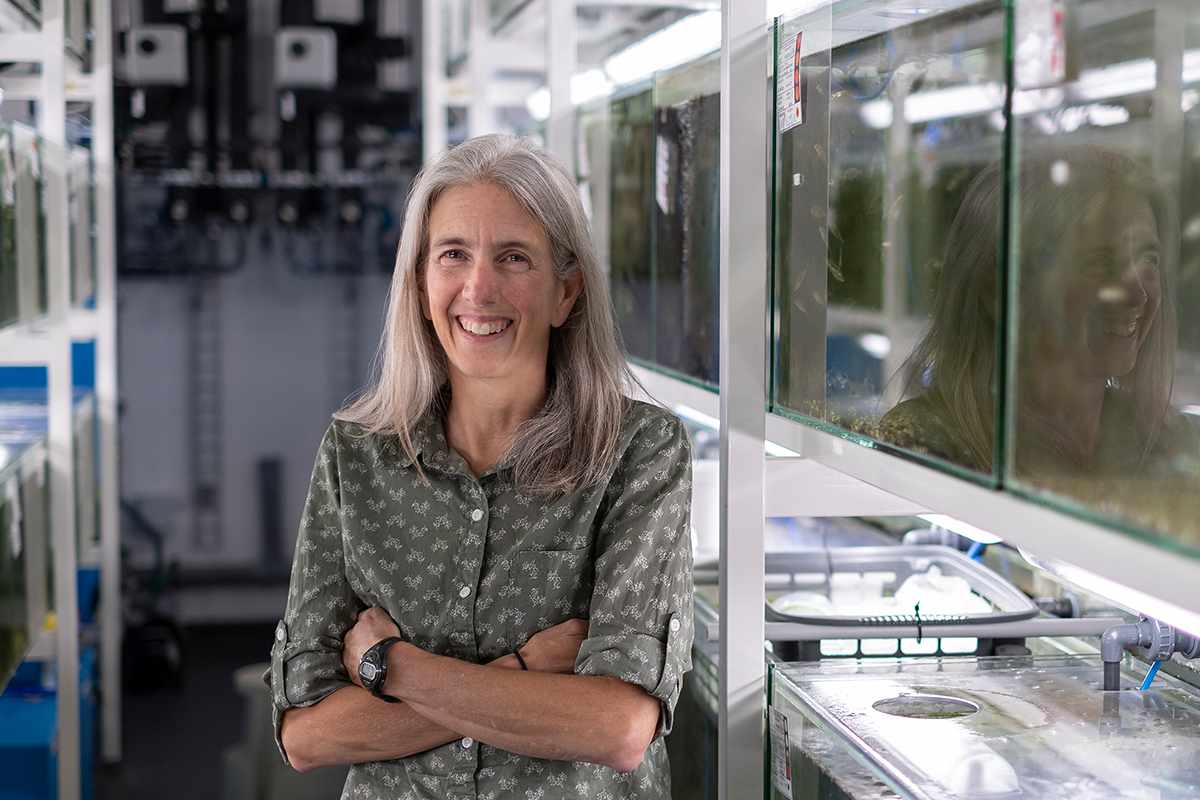 Catherine «Katie» Peichel, Professorin für Evolutionsbiologie am Institut für Ökologie und Evolution der Universität Bern. © Vera Knöpfel