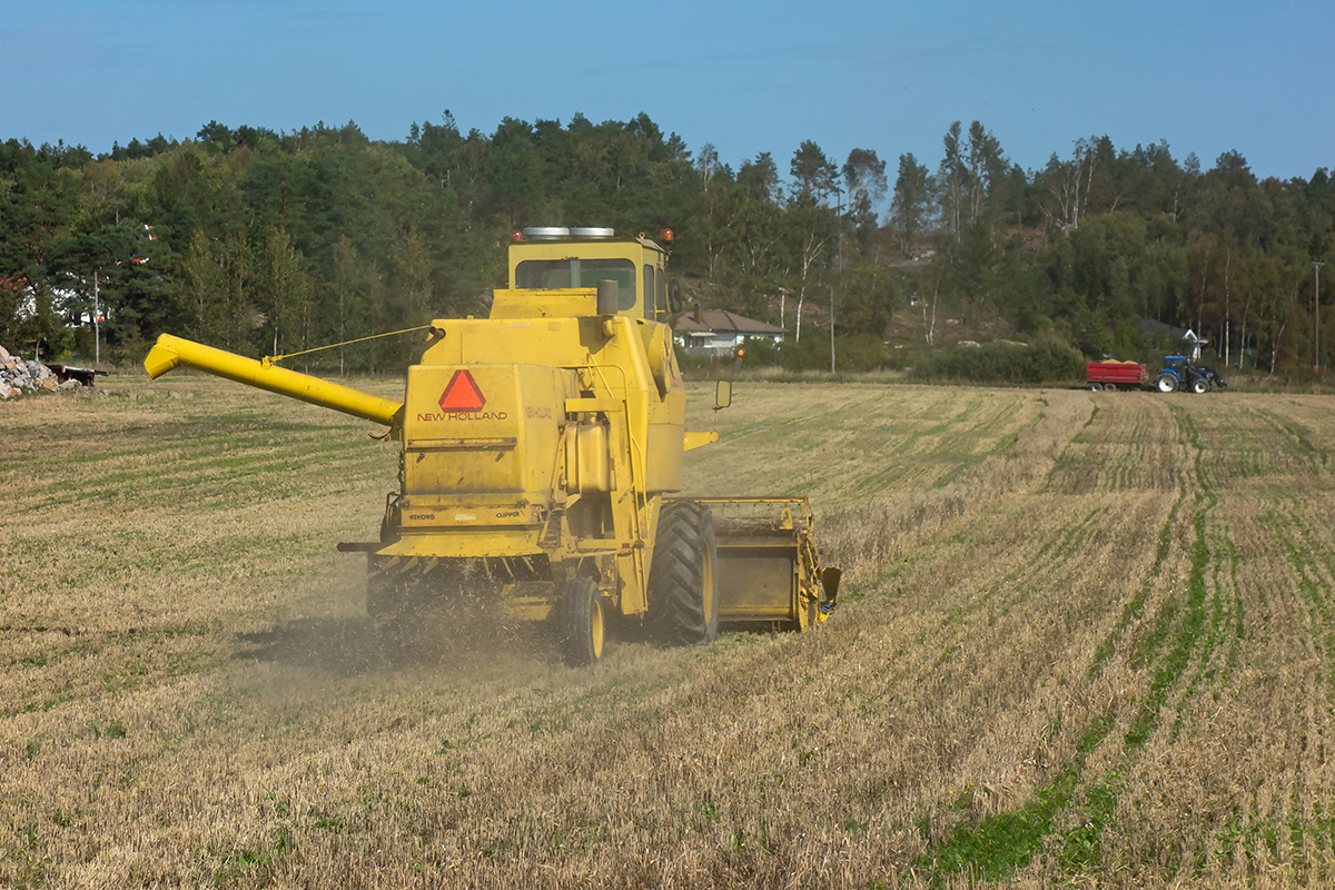 Nicht nur hier in Schweden wuchs das Getreide im Sommer 2018 kaum hoch genug, um geerntet zu werden: Die Landwirtschaft ist besonders anfällig für kombinierte Wetterereignisse.