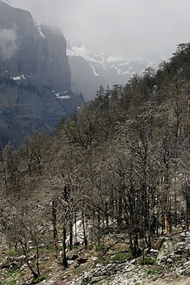 Der letzte grosse Waldbrand in der Schweiz ereignete sich im Hitzesommer 2003. Damals brannten oberhalb von Leuk im Wallis 300 Hektaren Wald ab.