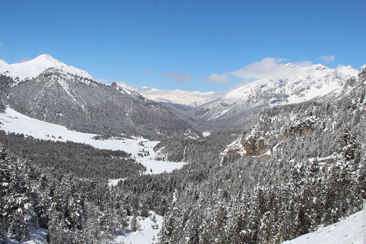 Der Schweizerischer Nationalpark in Graubünden, Blick vom Ofenpass Richtung Zernez. Bild: Wikimedia, Adrian Michael