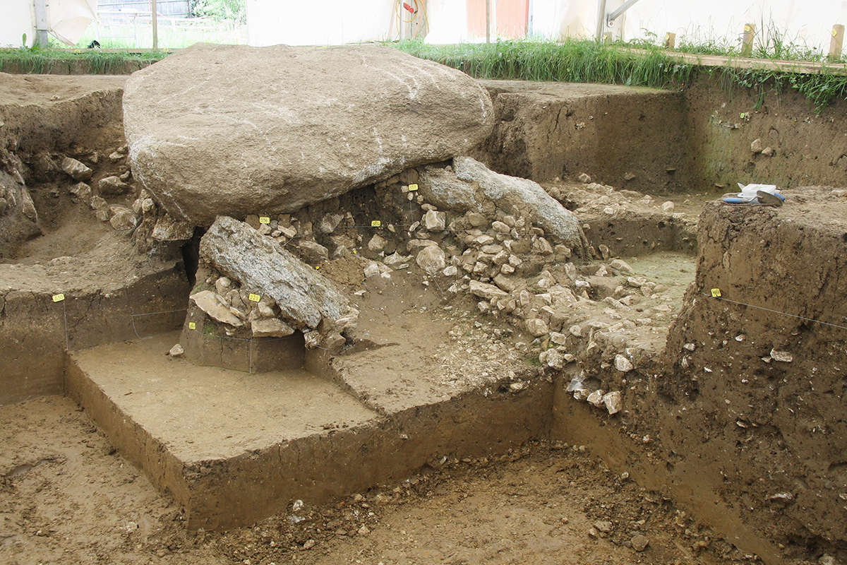 Archäologische Profilschnitte säumen die grosse Grabanlage von Oberbipp. (© Marianne Ramstein, Archäologischer Dienst des Kantons Bern)