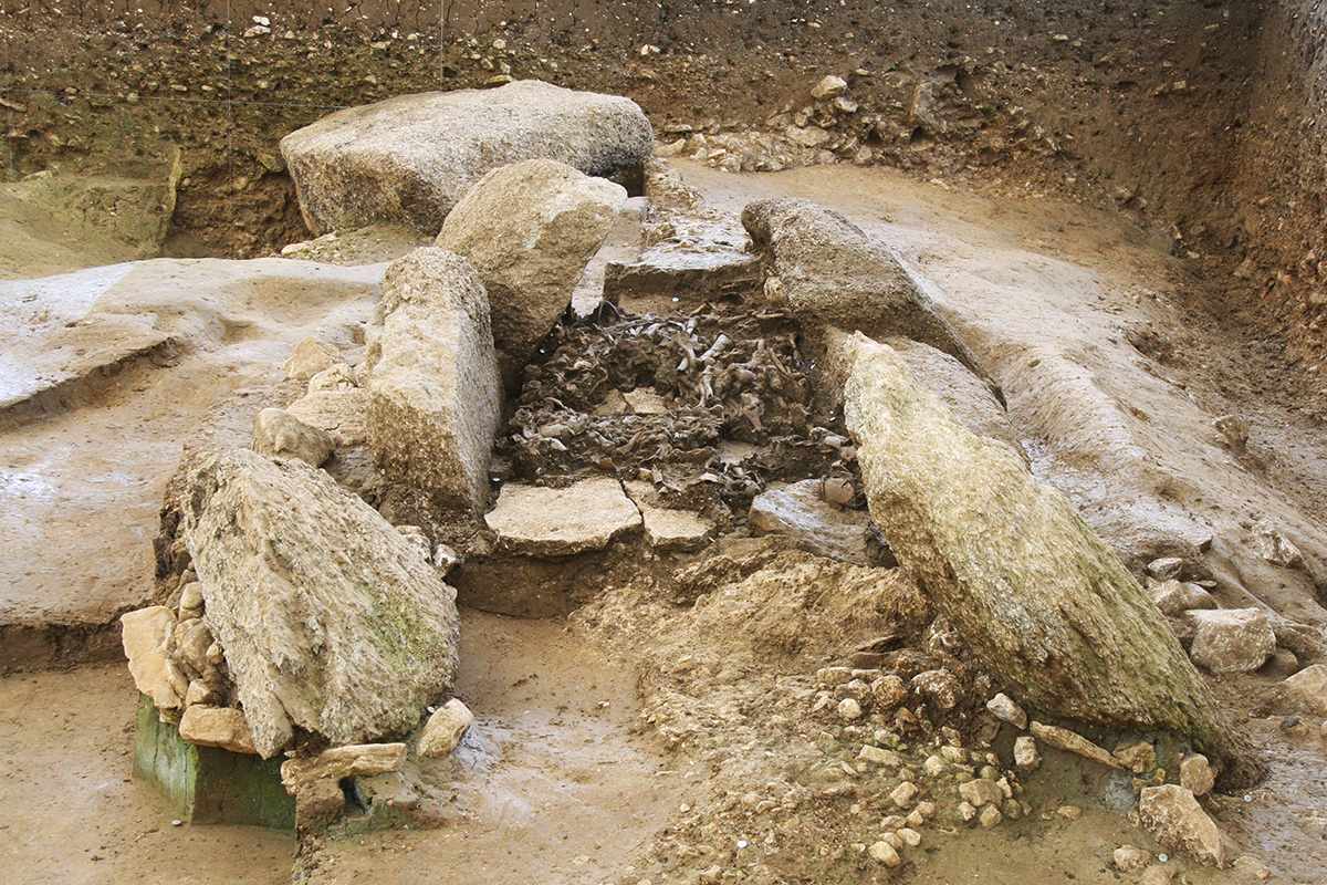 Nach Entfernung des wuchtigen Dolmendachs öffnet sich der Blick auf das Innere der ursprünglich ganz mit Skelettresten angefüllten Grabkammmer. (© Marianne Ramstein, Archäologischer Dienst des Kantons Bern)