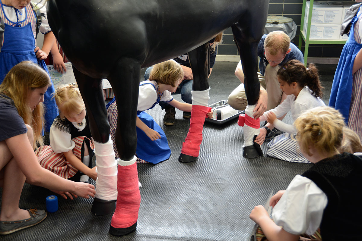 Kinder üben einem Pferd einen Verband anzulegen