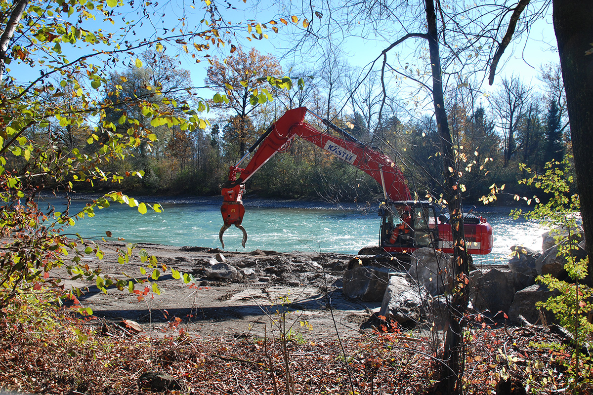 Uferschutz an der Aare bei Muri. Bild: Luzius Thomi