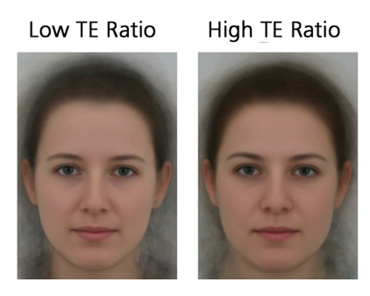Beispiel 1: Frauen mit einem tiefen Verhältnis von Testosteron zu Östrogen (links) werden als attraktiver wahrgenommen als Frauen mit einem hohen Testosteron-Östrogen-Verhältnis (rechts). (Bilder: zvg)