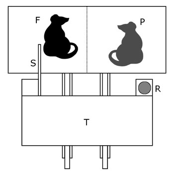 Gezeichnetes Modell des Experiments
