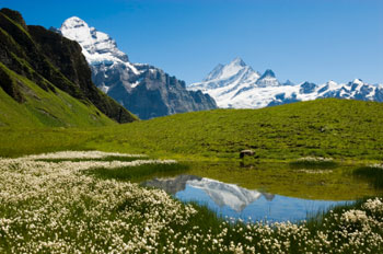Sie sind das «Wasserschloss Europas»: die Alpen. (Bild:istock)