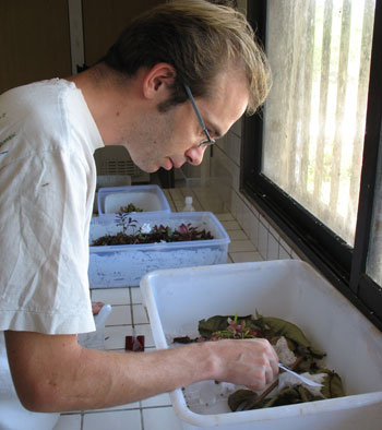 Florian Menzen bei der Arbeit im Labor