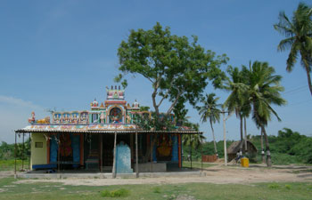 Hindus