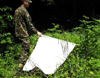 Mitglied der Armee sammelt mit weissem Tuch Zecken auf der Wiese ein