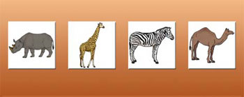 Abbindungen von Nashorn, Giraffe, Zebra und Dromedar