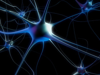 Modell eines Neurons