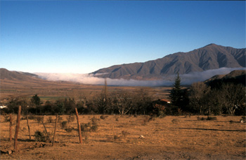 Tiefland
