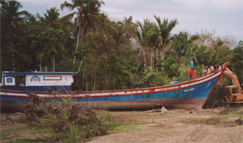 Boot, das von der Flutwelle ins Landesinnere transportiert wurde.