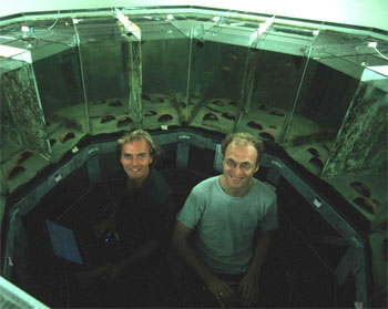 Ringaquarium