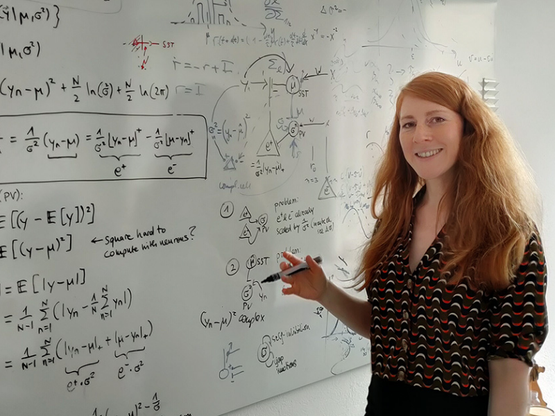 Mit abstrakten mathematischen Modellen versucht Katharina Wilmes zu erklären, wie unser Gehirn funktioniert und lernt. © CAIM, Universität Bern