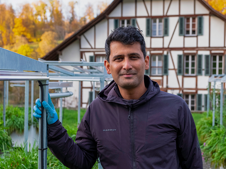 Global study reveals tempo of invasive species‘ impacts