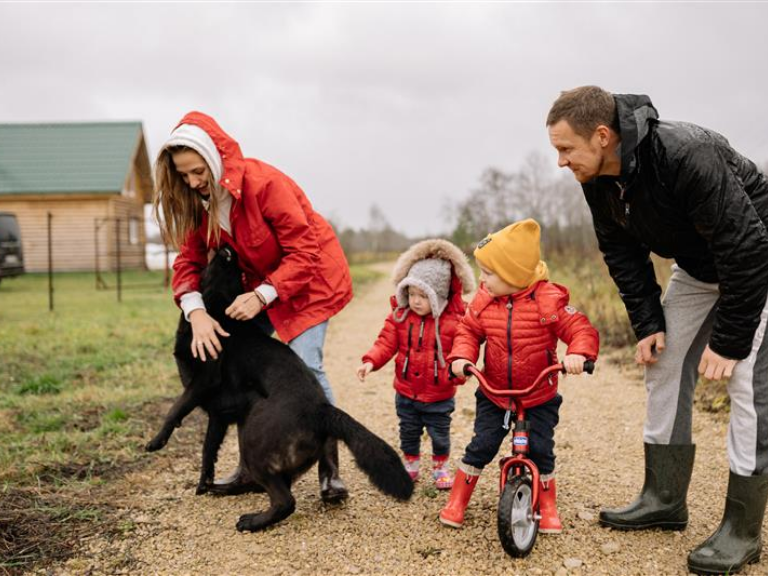 «You hope you'll never need the insurance»